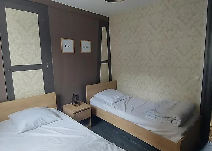 Les Parisiennes -hypercentre Appartamento *